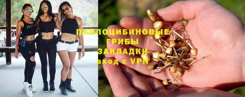 Галлюциногенные грибы Psilocybe  сколько стоит  ОМГ ОМГ   Лабинск 